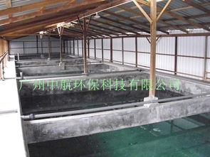 水產養殖設備解析 蛋白質分離器與泡沫分離器的應用價值